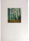 Marco Zambrelli - Chitunlo 70x50